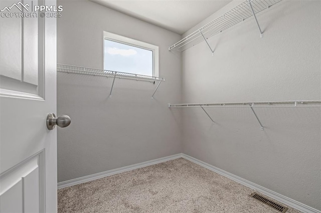 10726 Traders Pkwy, Fountain, CO 80817 - spacious closet featuring carpet floors