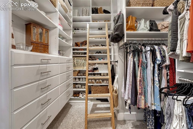 970 Bend In The Trail Rd, Monument, CO 80132 - walk in closet featuring carpet flooring