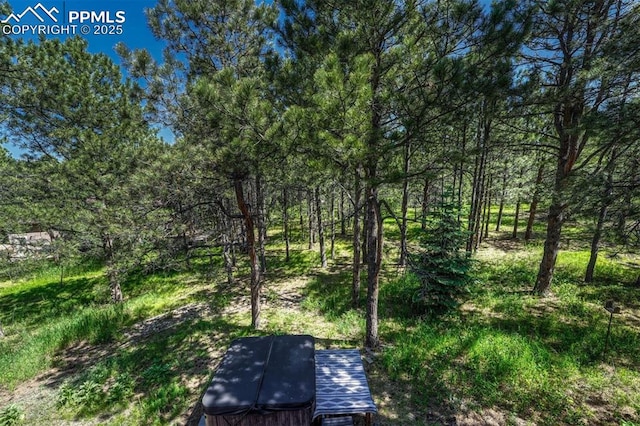 970 Bend In The Trail Rd, Monument, CO 80132 - view of yard