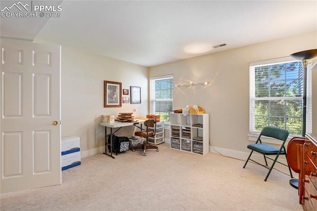 2527 Elite Ter, Colorado Springs, CO 80920 - carpeted home office with baseboards