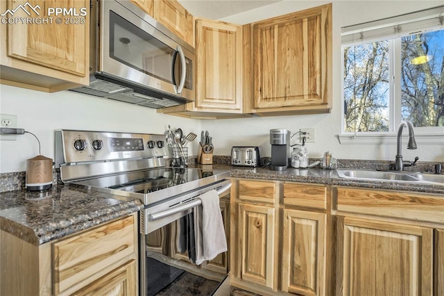 1633 N Chestnut St, Colorado Springs, CO 80907 - kitchen with stainless steel appliances and a sink