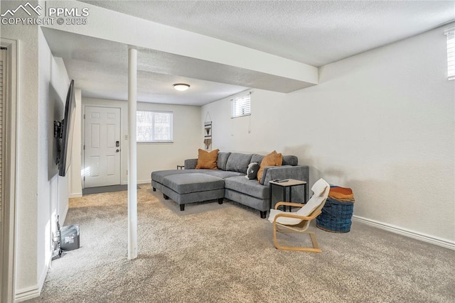 1633 N Chestnut St, Colorado Springs, CO 80907 - carpeted living room featuring a textured ceiling and healthy amount of natural light