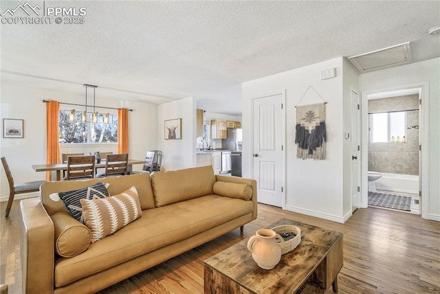 1633 N Chestnut St, Colorado Springs, CO 80907 - living room with a textured ceiling and light wood-style flooring