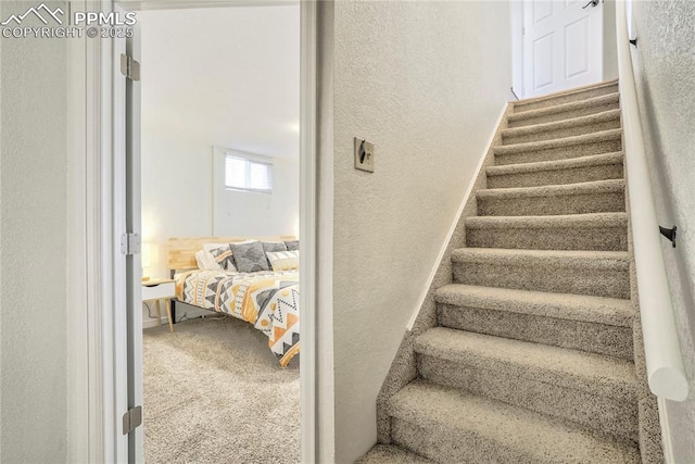 1633 N Chestnut St, Colorado Springs, CO 80907 - stairs featuring carpet floors and a textured wall