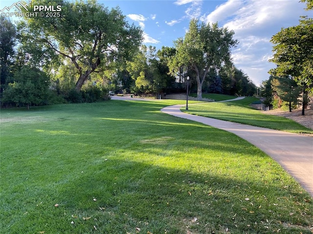 1633 N Chestnut St, Colorado Springs, CO 80907 - view of home's community featuring a yard and view of wooded area