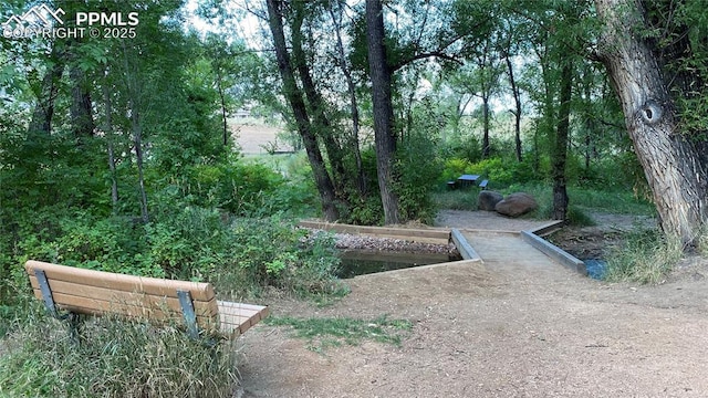 1633 N Chestnut St, Colorado Springs, CO 80907 - view of community