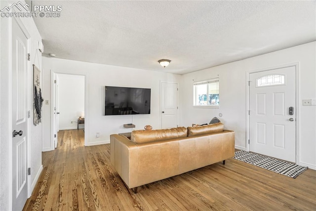 1633 N Chestnut St, Colorado Springs, CO 80907 - living area with a textured ceiling and light wood-style flooring