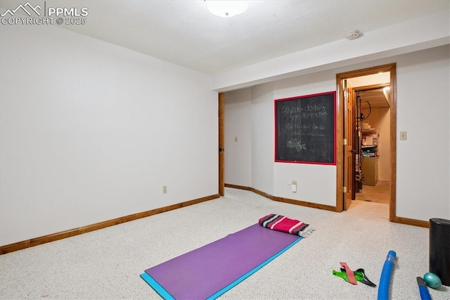 18971 Shadowood Dr, Monument, CO 80132 - workout room featuring baseboards and carpet floors