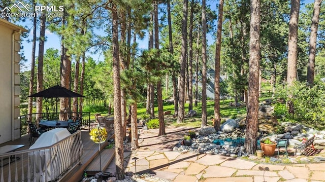 18971 Shadowood Dr, Monument, CO 80132 - view of patio / terrace