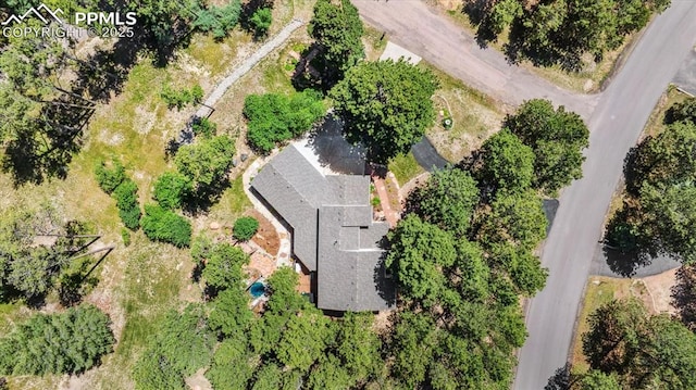 18971 Shadowood Dr, Monument, CO 80132 - drone / aerial view