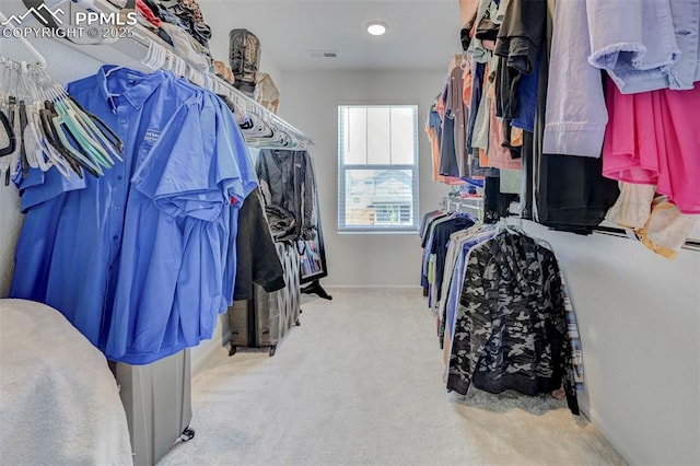 6237 Bodacious Cir, Colorado Springs, CO 80923 - walk in closet featuring carpet