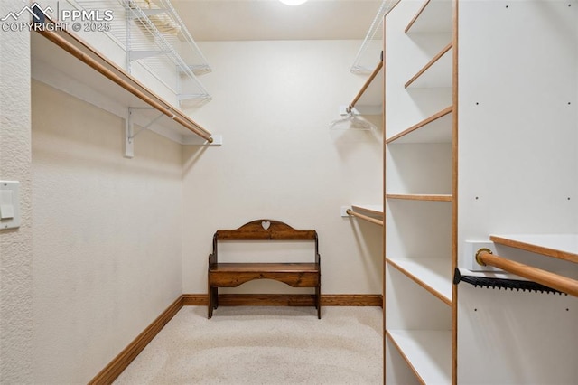 20401 High Pines Dr, Monument, CO 80132 - spacious closet featuring carpet floors