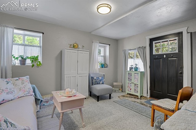 4540 Fountain Ave, Cascade, CO 80809 - view of carpeted living area