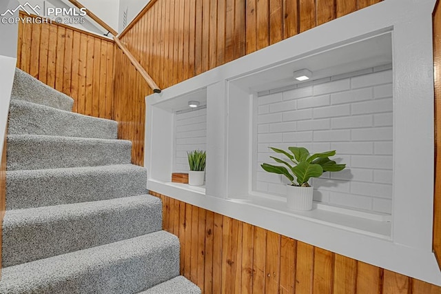 4540 Fountain Ave, Cascade, CO 80809 - stairway with wood walls