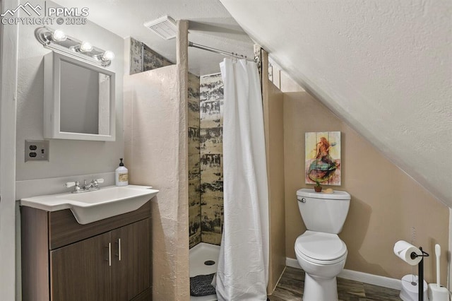 4540 Fountain Ave, Cascade, CO 80809 - bathroom featuring lofted ceiling, a textured ceiling, vanity, and a shower stall