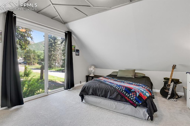 4540 Fountain Ave, Cascade, CO 80809 - bedroom featuring carpet and vaulted ceiling