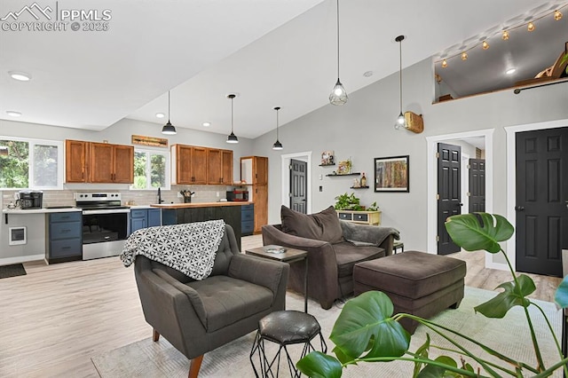 4540 Fountain Ave, Cascade, CO 80809 - living area featuring light wood finished floors, lofted ceiling, and recessed lighting