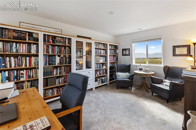 6469 Bodacious Cir, Colorado Springs, CO 80923 - office space with wall of books and carpet flooring