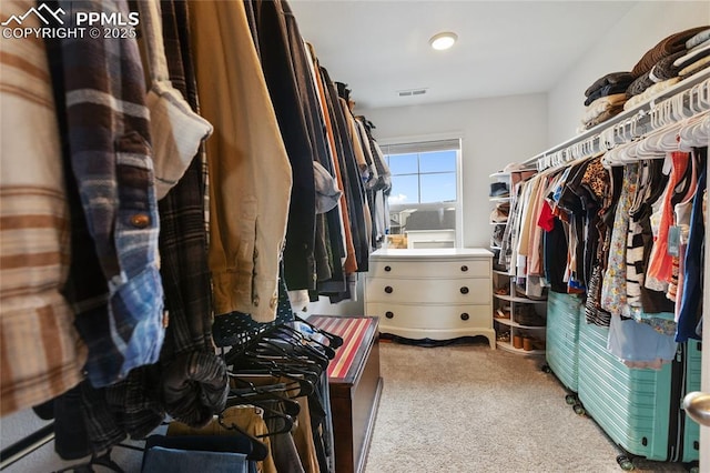 6469 Bodacious Cir, Colorado Springs, CO 80923 - walk in closet featuring carpet floors