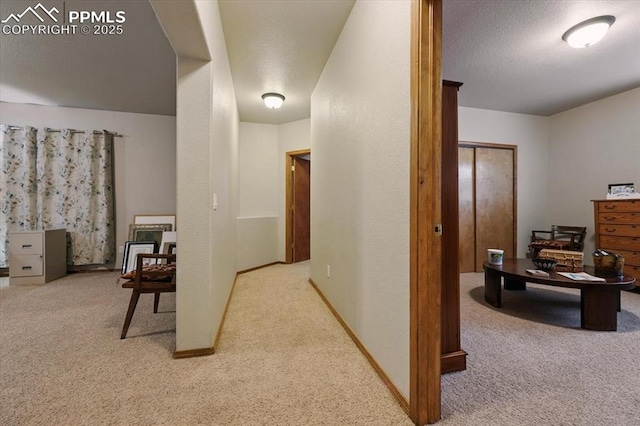 5584 Calamity Jane Ln, Colorado Springs, CO 80923 - corridor featuring carpet flooring
