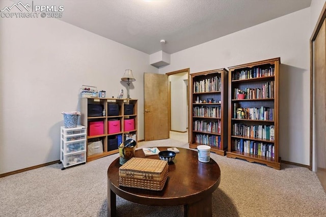 5584 Calamity Jane Ln, Colorado Springs, CO 80923 - carpeted office space featuring baseboards