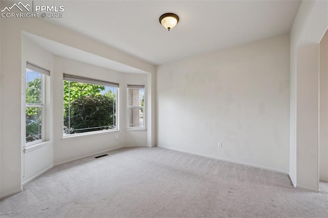 1562 Lookout Springs Dr, Colorado Springs, CO 80921 - carpeted empty room featuring healthy amount of natural light
