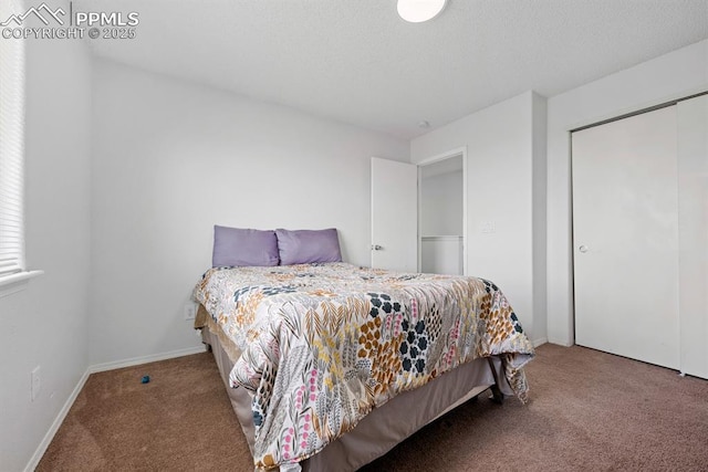 245 Turf Trail Pl, Fountain, CO 80817 - bedroom featuring carpet flooring and a closet