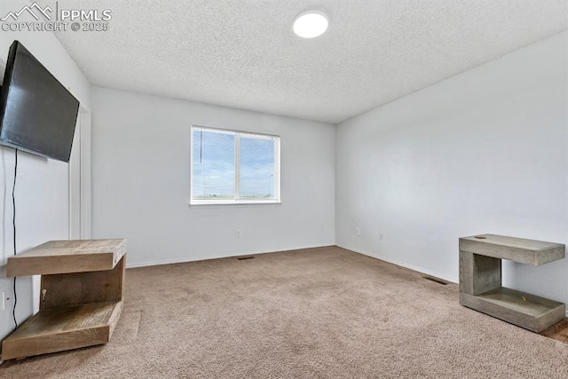 245 Turf Trail Pl, Fountain, CO 80817 - unfurnished living room with carpet and a textured ceiling