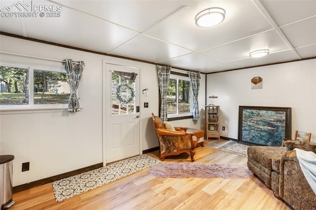 53 Iris Rd, Woodland Park, CO 80863 - foyer with wood finished floors