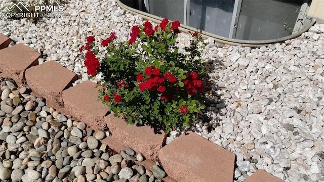 2118 N Chestnut St, Colorado Springs, CO 80907 - exterior view