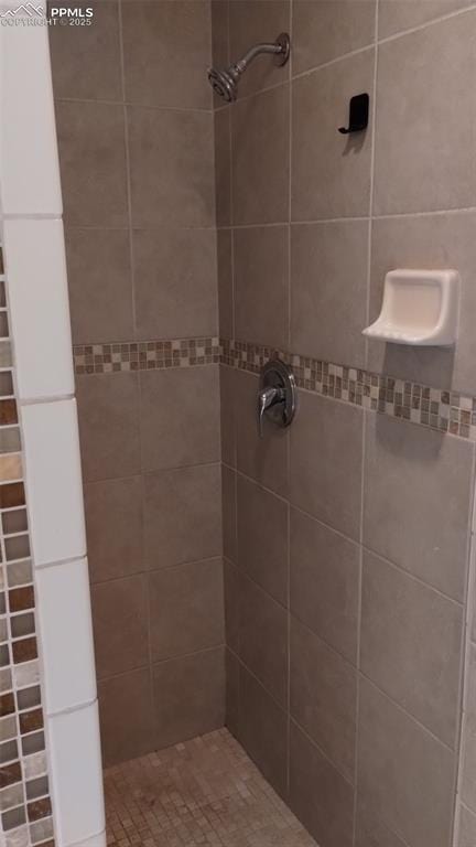 2118 N Chestnut St, Colorado Springs, CO 80907 - bathroom featuring tiled shower