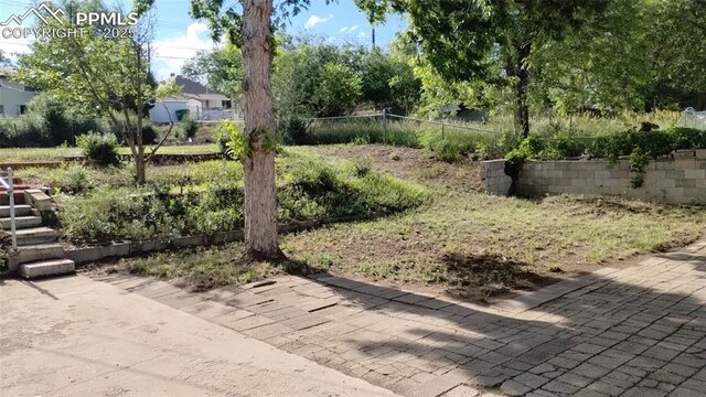 2118 N Chestnut St, Colorado Springs, CO 80907 - view of yard