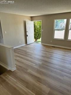 5135 Webbed Foot Way, Colorado Springs, CO 80911 - empty room featuring wood finished floors