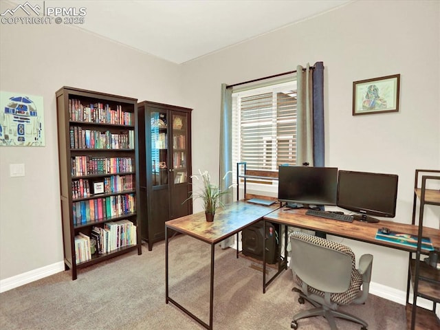 12646 Windingwalk Dr, Peyton, CO 80831 - carpeted office space with baseboards
