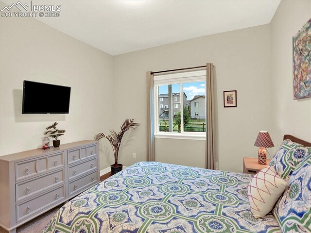 12646 Windingwalk Dr, Peyton, CO 80831 - view of bedroom