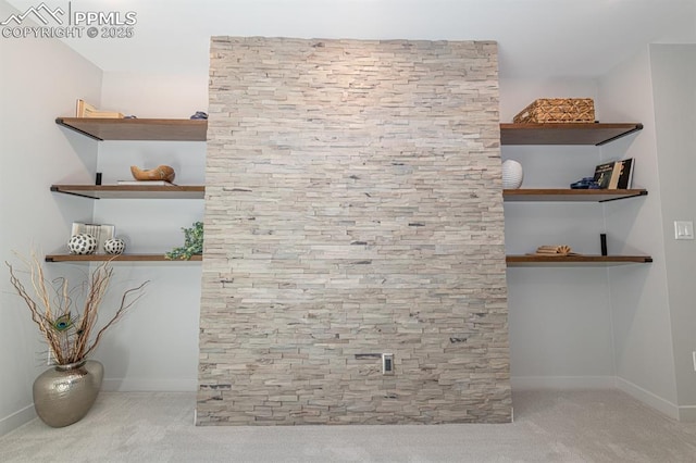 2510 Old Broadmoor Rd, Colorado Springs, CO 80906 - detailed view of carpet floors