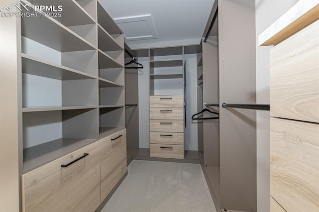 2510 Old Broadmoor Rd, Colorado Springs, CO 80906 - walk in closet with attic access and light colored carpet