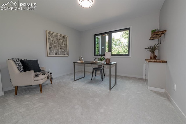 2510 Old Broadmoor Rd, Colorado Springs, CO 80906 - office area featuring light carpet and baseboards