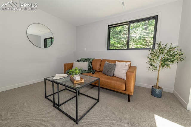 2510 Old Broadmoor Rd, Colorado Springs, CO 80906 - living room with baseboards and light carpet