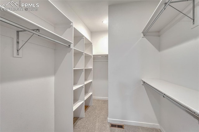 1231 Newton St, Denver, CO 80204 - spacious closet featuring light colored carpet
