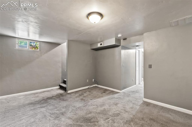 1443 Luna Dr, Fountain, CO 80817 - below grade area with carpet and baseboards