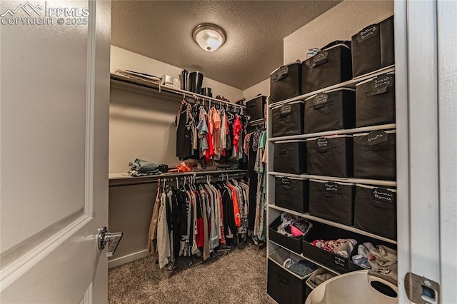 5960 Bennach Grv, Colorado Springs, CO 80927 - walk in closet featuring carpet