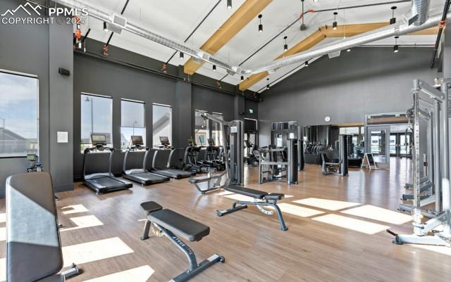 5960 Bennach Grv, Colorado Springs, CO 80927 - exercise room with a high ceiling and wood finished floors