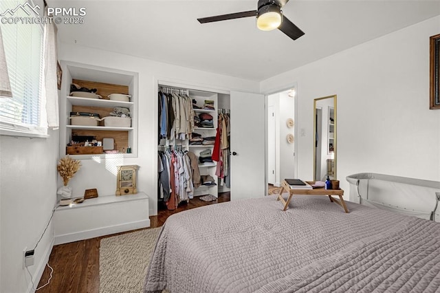 3619 Regis St, Colorado Springs, CO 80909 - bedroom featuring wood finished floors, a closet, and ceiling fan