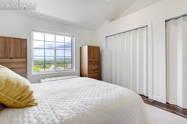 5775 Sonnet Hts, Colorado Springs, CO 80918 - bedroom with vaulted ceiling and wood finished floors