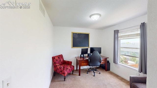 2160 Ance St, Strasburg, CO 80136 - home office with carpet