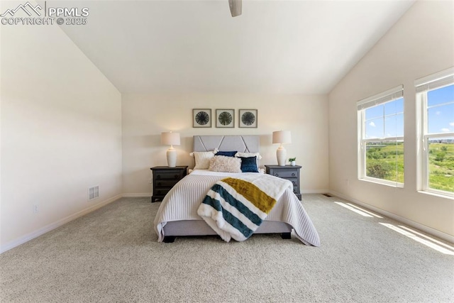 9891 Red Sage Dr, Colorado Springs, CO 80920 - bedroom featuring lofted ceiling and carpet floors