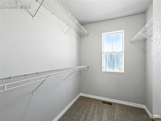 6222 Barr Pt, Colorado Springs, CO 80924 - spacious closet featuring carpet flooring