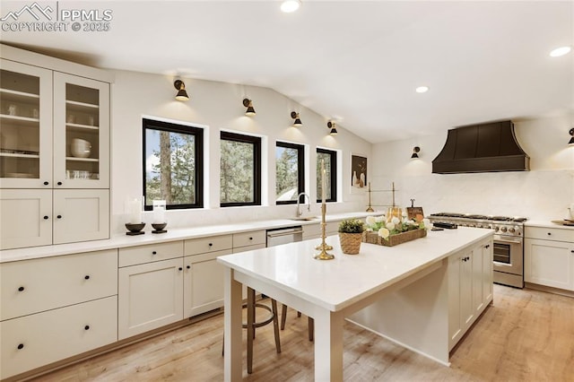 1320 Spring Valley Dr, Colorado Springs, CO 80921 - kitchen featuring custom range hood, stainless steel appliances, decorative backsplash, lofted ceiling, and light countertops