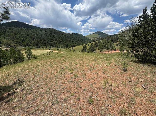 374 Copper Mountain Dr, Cripple Creek, CO 80813